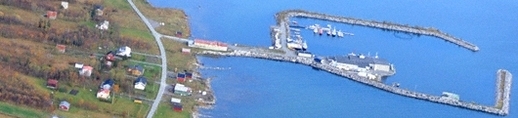 Grunnfarnes
