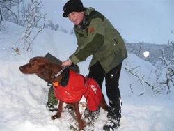 Bjørn og Eira_500x375