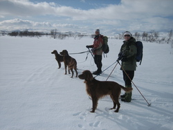 Sennalandet 2010_500x375
