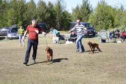Jalgesvaddas Beaivi[1]