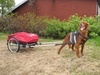 trekkvogn_150x113