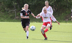 salangenskaanlandforside