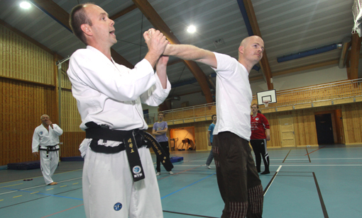 taekwondoskolebig