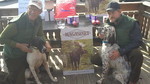 Vinnere med sponsorvester_300x168