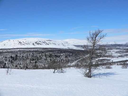 vinjevegen