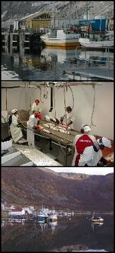 industribildeserie