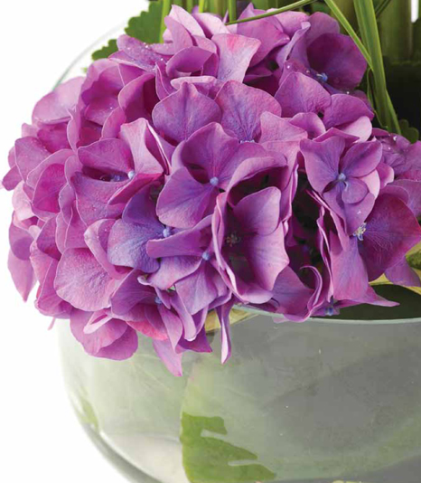 Interflora