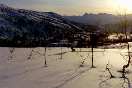 Vintersol og sporsnø