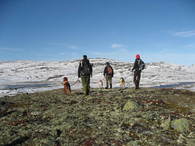 Høststmening i fjellet_510x383