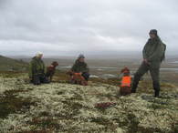 Hardangervidda_520x390