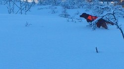DSC_0098_1024x576