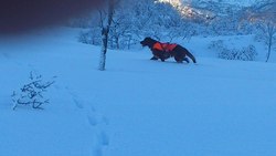 DSC_0099 (2)_1024x576