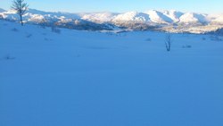 DSC_0094_1024x576