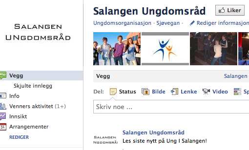skjermbildeFBUngdomsradet