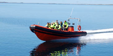  1 seloey kystservice RIB.JPG