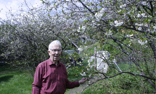 blomsterbig