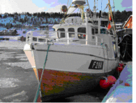 fiskebaat_frosen