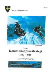 palnstrategi palnstrategi