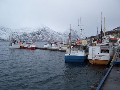 Kai torsken mars 06  3  400