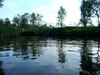 Jupelva