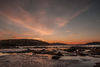 DSC 0139