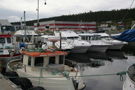 norgeskonvoi_1_460x307