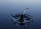 water-drop