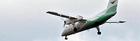 fly_cropped_503x146