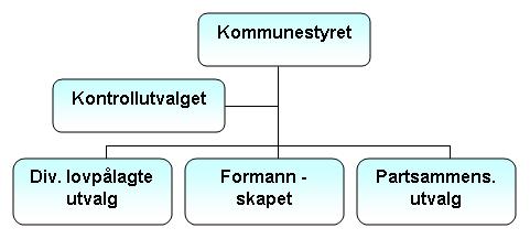 politisk organisering