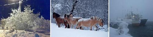 bilderad vinter bilderad vinter