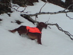 683743_B38144_Lita stand1_150x113