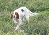 SkadiStand_cropped_515x366
