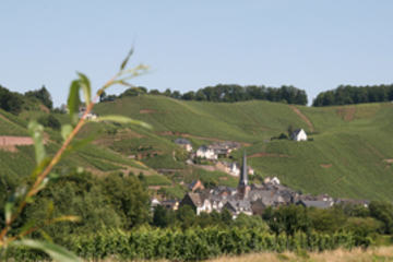 Meseldalen_IMG_0580_300x179