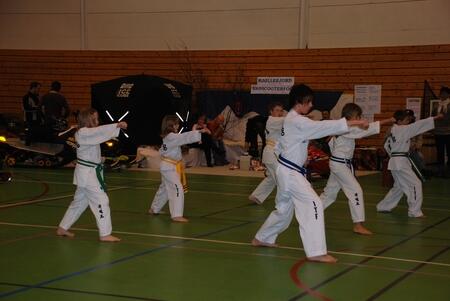 Tae Kwan Do i aksjon_450x301