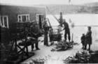 Torrfiskpressing_Aarsatherbruket_i_Kjollefjord_ar_1935_300x198
