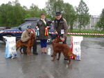 Vinnere 2010_150x113