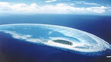Lady Musgrave island