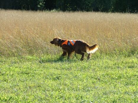 Nansen Krokstad_500x375