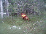 Theo i stand[1]_150x113