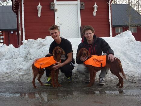 Ungdommen banker på_500x375