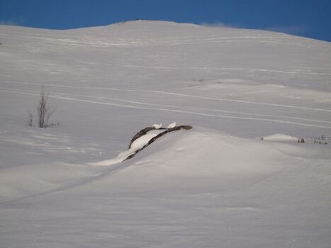 Vinterrype_500x375