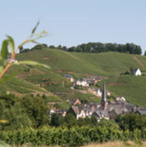 Moseldalen_IMG_175