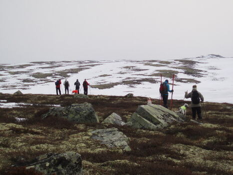På bar bakke_500x375