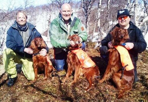 Royer André Larsen, Royer Martin Larsen og Magnus Dahlgren med Hadseløyas Frøya, Iben og Nero ved sin side