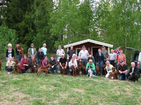 Dressurkurs 2011_500x375