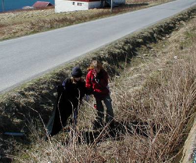 Langs hovedveien.