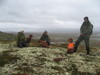 Hardangervidda_520x390