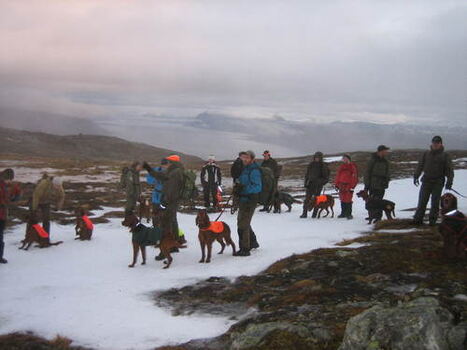 Samling 09_500x375