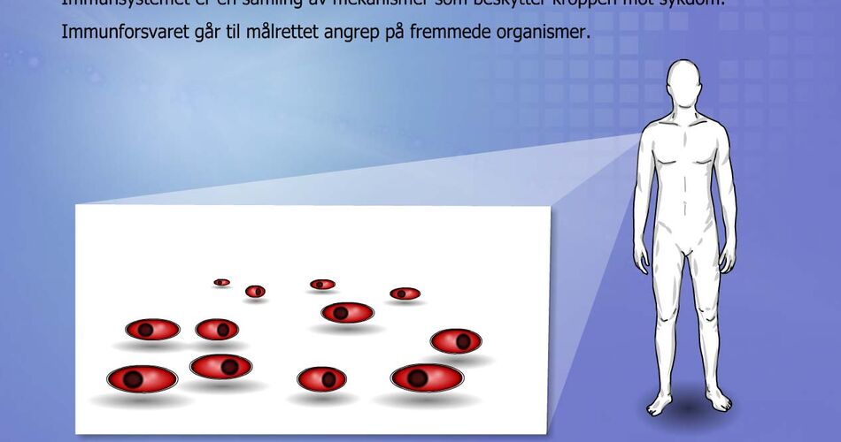 E-forelesning i immunologi