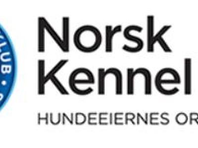 NKK logo